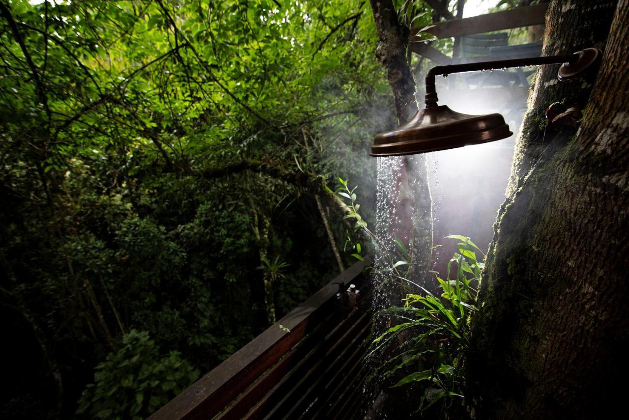 Tominejo Ecolodge - Casas En Los Arboles Neira Eksteriør bilde