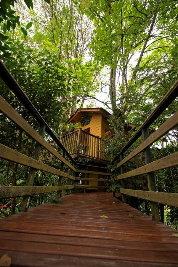 Tominejo Ecolodge - Casas En Los Arboles Neira Eksteriør bilde