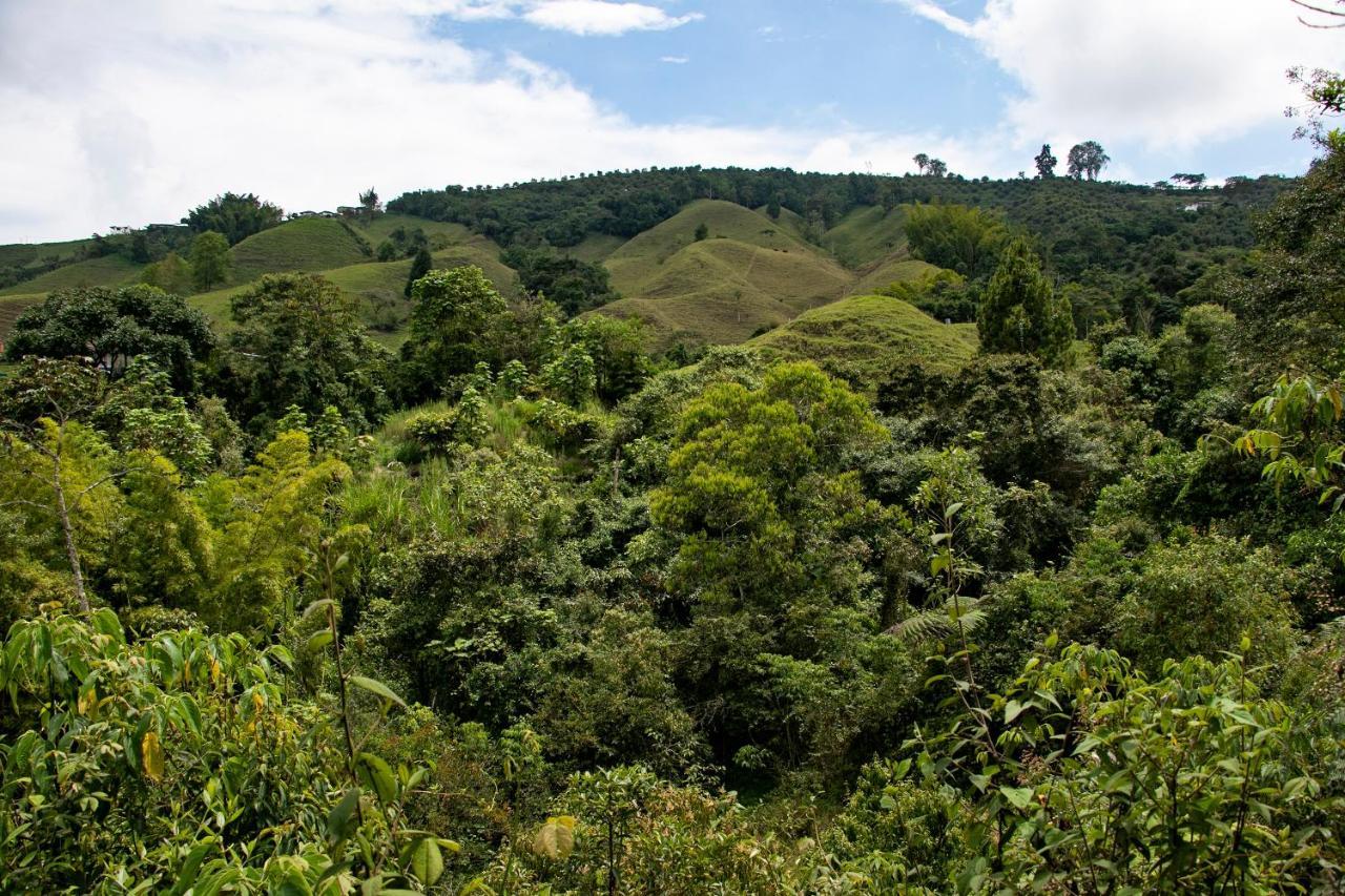 Tominejo Ecolodge - Casas En Los Arboles Neira Eksteriør bilde