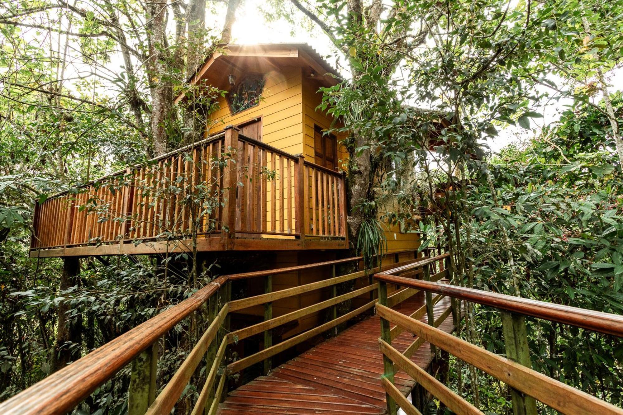 Tominejo Ecolodge - Casas En Los Arboles Neira Eksteriør bilde