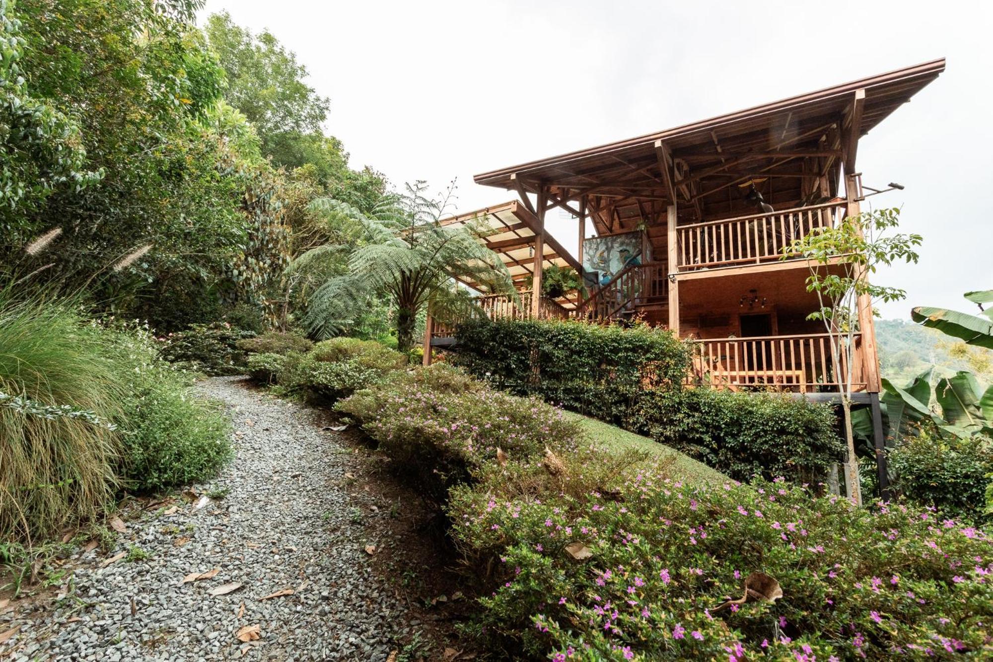 Tominejo Ecolodge - Casas En Los Arboles Neira Eksteriør bilde