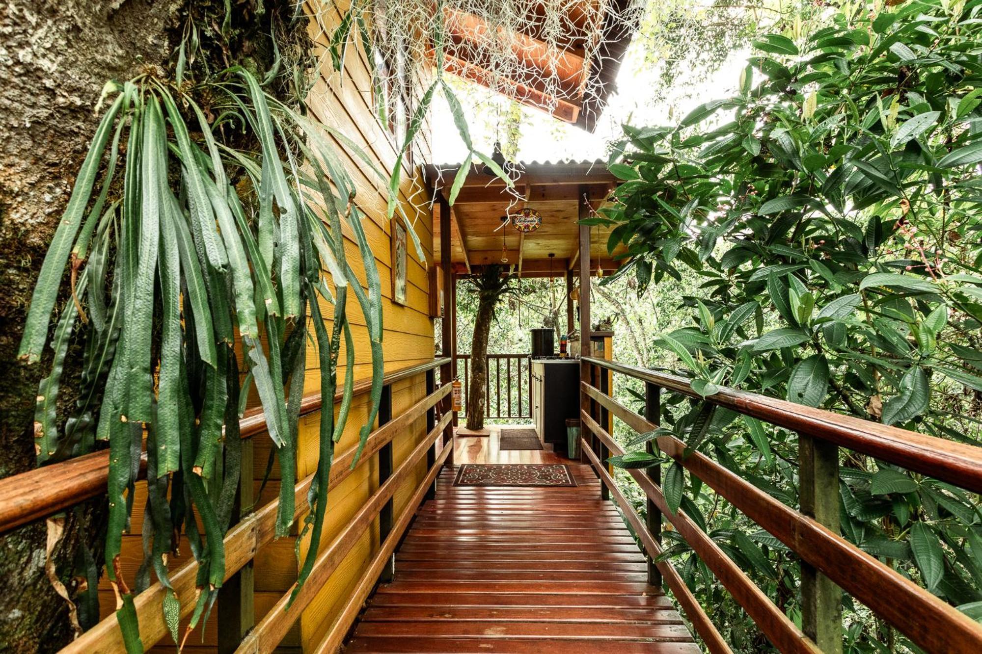 Tominejo Ecolodge - Casas En Los Arboles Neira Eksteriør bilde