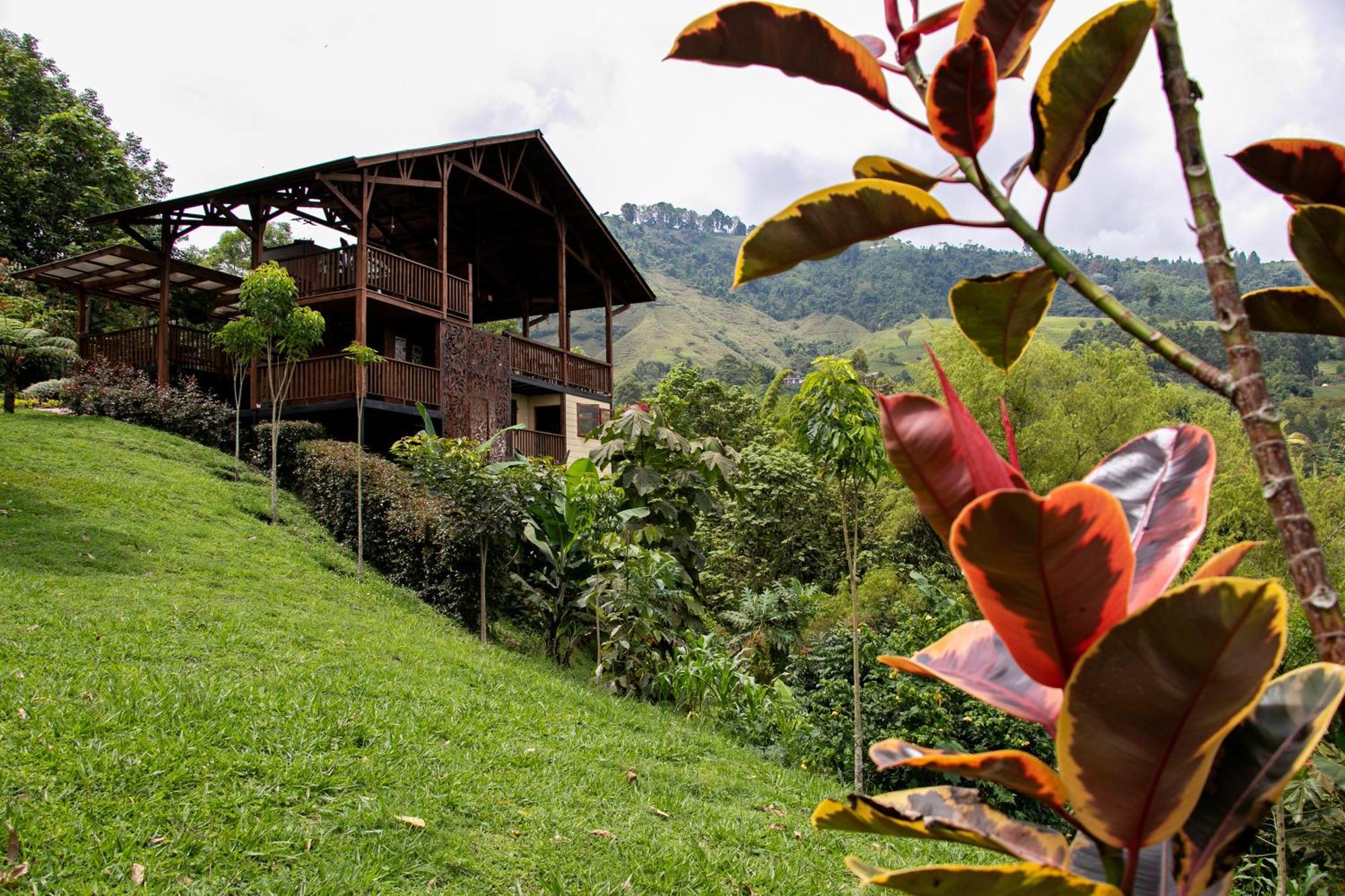 Tominejo Ecolodge - Casas En Los Arboles Neira Eksteriør bilde